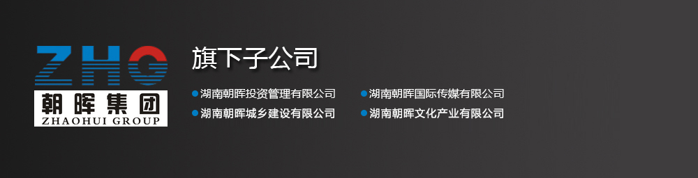 集團(tuán)子公司